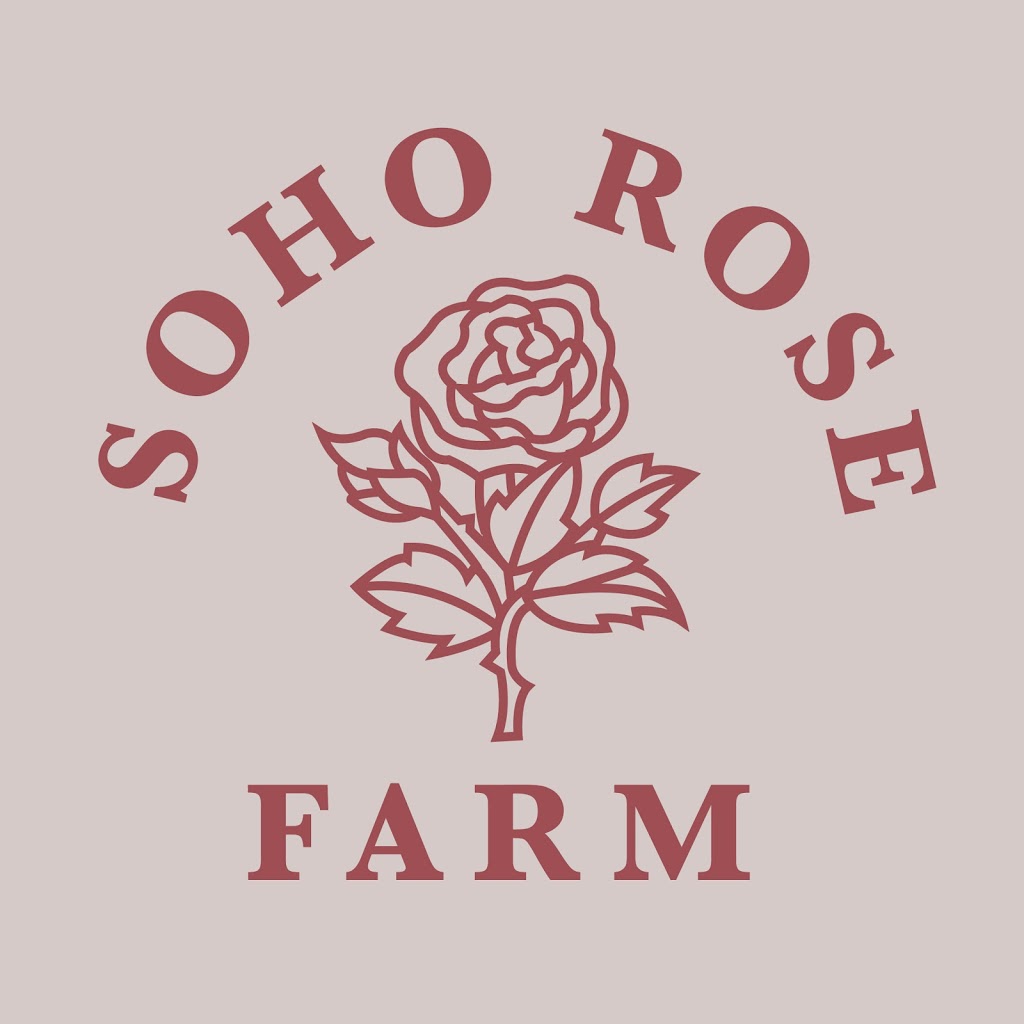 Soho Rose Farm | Glengyron, 1505 Ballarat-Daylesford Rd, Dean VIC 3363, Australia | Phone: 0457 687 695