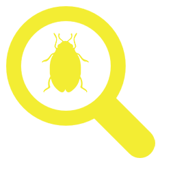 Rapid Pest Control Brisbane | 46 Paddington Cres, Stretton QLD 4116, Australia | Phone: 0477 593 926