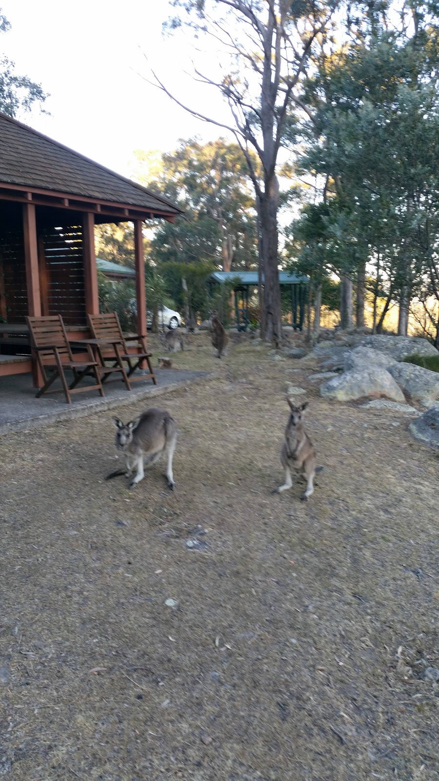 Bilby Lodge | lodging | Vacy NSW 2421, Australia