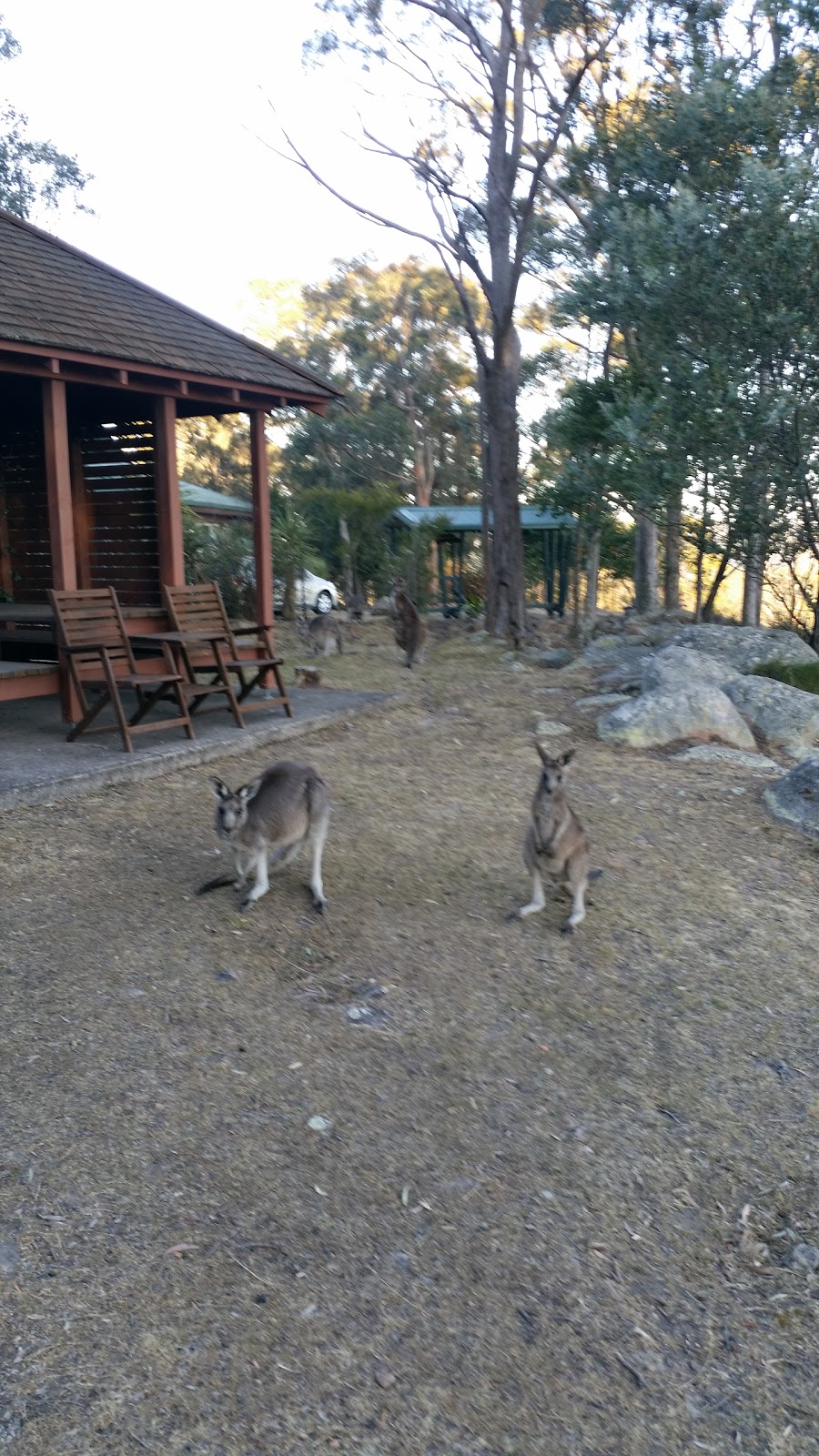 Bilby Lodge | Vacy NSW 2421, Australia