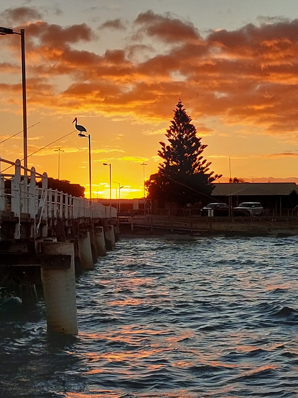 Tumby Bay Jetty | Gulf, Spencer NSW 2775, Australia | Phone: (08) 8688 2101