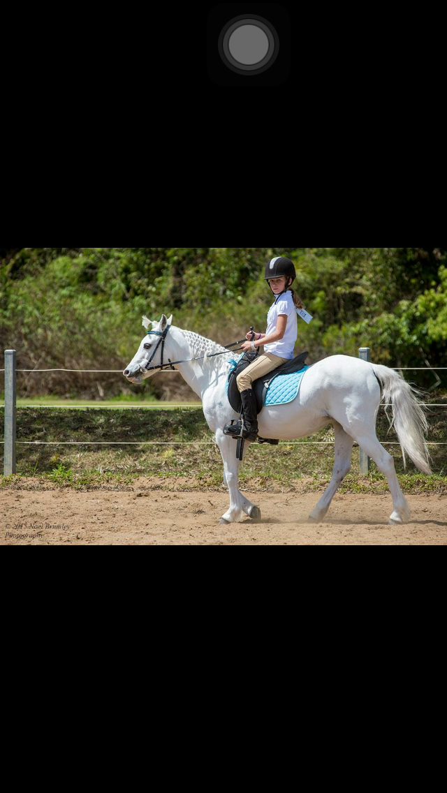 Bribie Island Road Saddle Club | travel agency | 392 Bribie Island Rd, Caboolture QLD 4510, Australia | 0410886504 OR +61 410 886 504