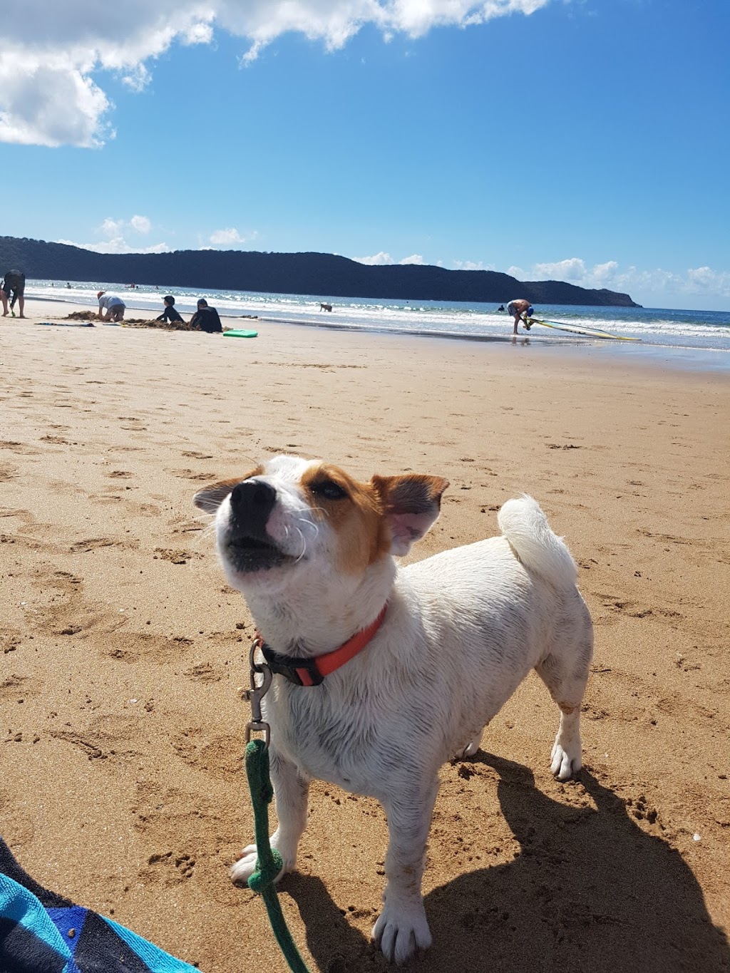 Ocean Beach Surf Life Saving Club |  | 176 The Esplanade, Umina Beach NSW 2257, Australia | 0243442800 OR +61 2 4344 2800