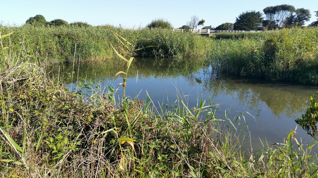 Wild Dog Creek Streamside Reserve | Wild Dog Rd, Apollo Bay VIC 3233, Australia