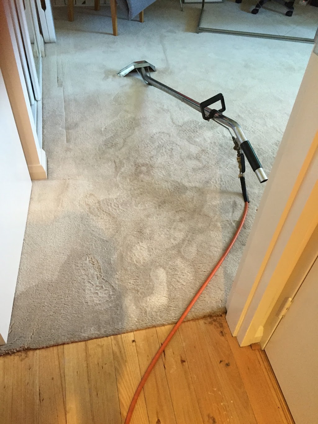 Expert carpet cleaning | Quarry Street, Fremantle WA 6000, Australia | Phone: 0418 957 690