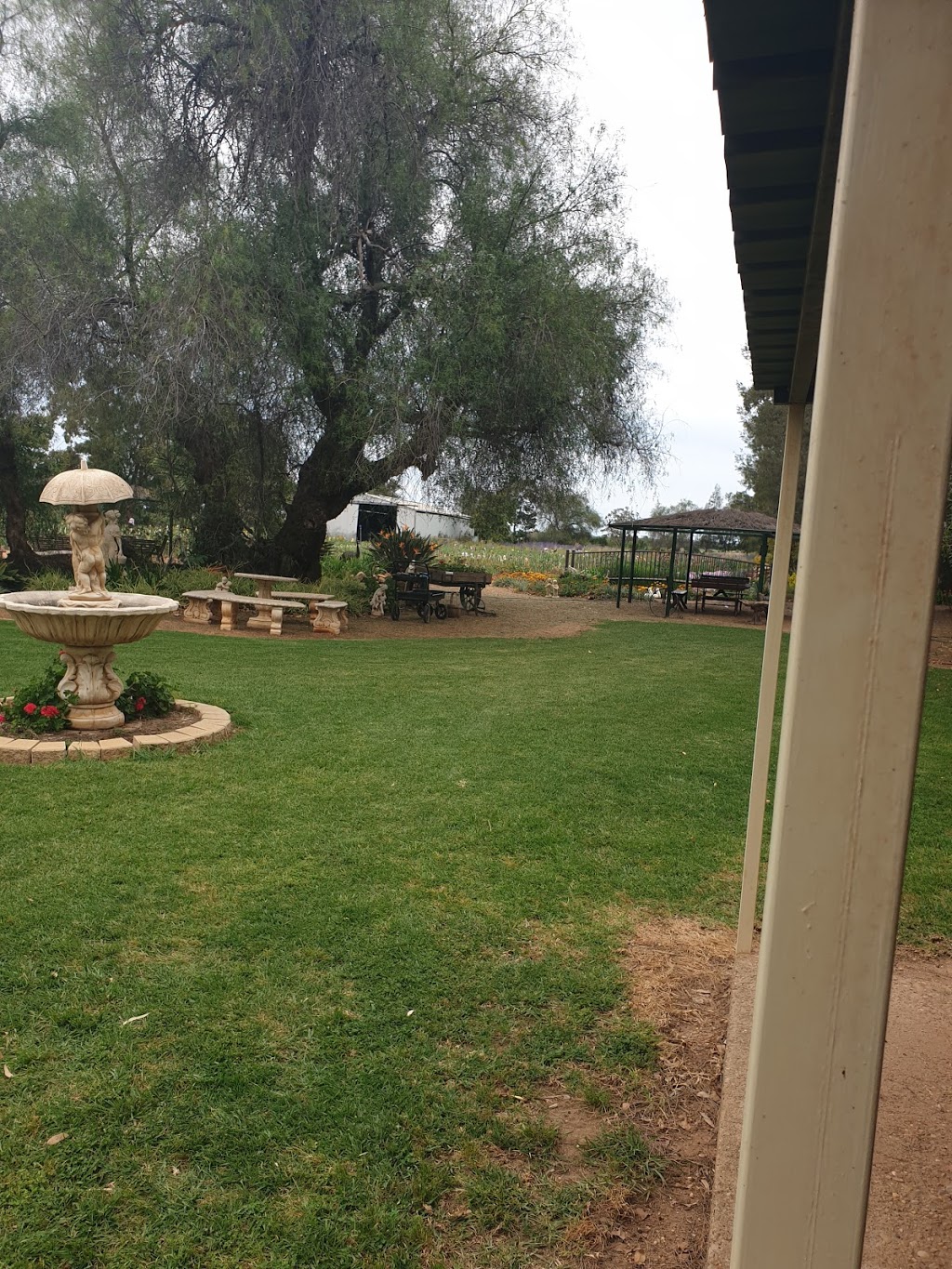 Narromine Iris Farm | Villa Nova, 471 Tomingley Rd, Narromine NSW 2821, Australia | Phone: (02) 6889 1885