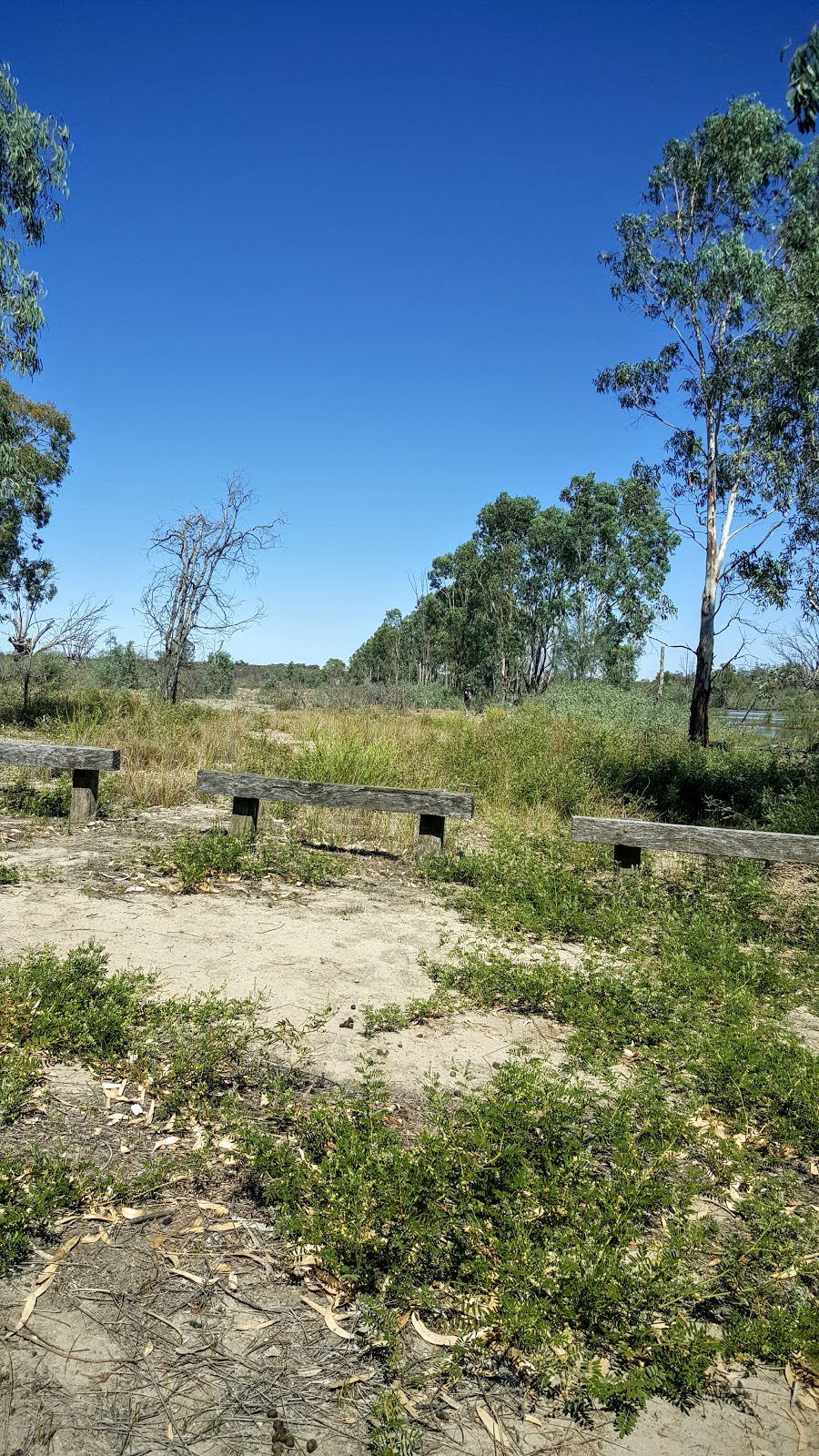 Murray River National Park | Katarapko SA 5343, Australia | Phone: (08) 8580 1800