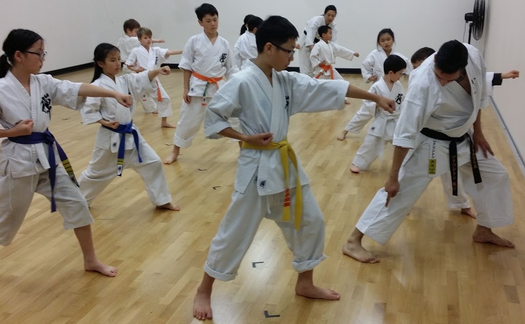 Campbelltown Traditional Japanese Karate | ARC Program Room, 531 Lower North East Rd, Campbelltown SA 5074, Australia | Phone: 0416 339 619