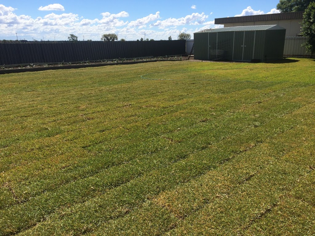 Back2 Front Turf | Bendygleet Rd, Moree NSW 2400, Australia | Phone: 0427 626 908