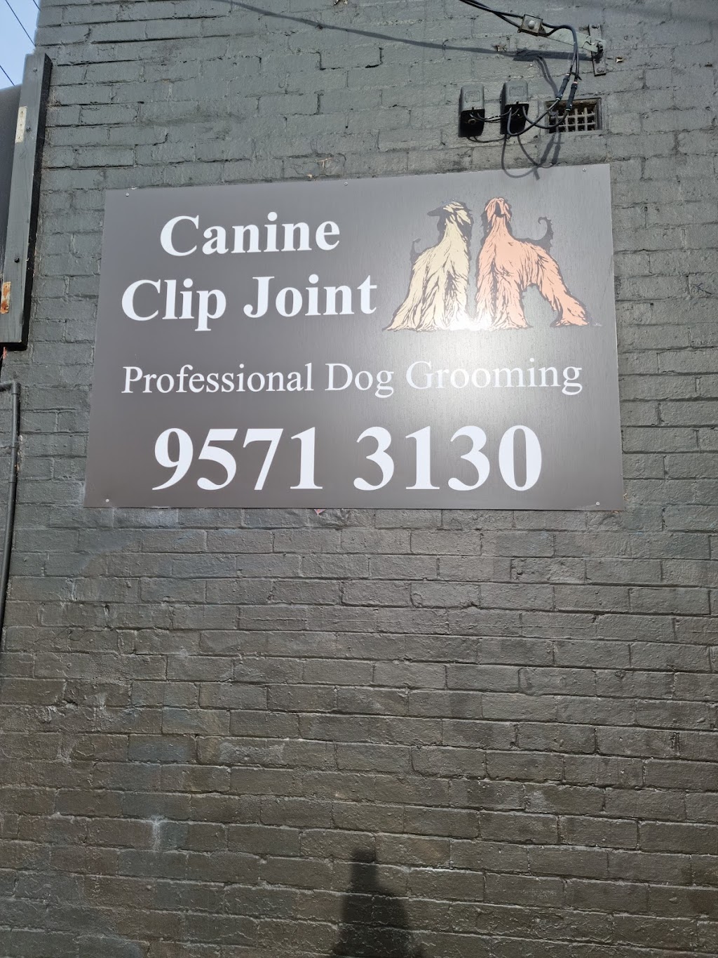 Canine Clip Joint | 144 Neerim Rd, Caulfield East VIC 3145, Australia | Phone: (03) 9571 3130