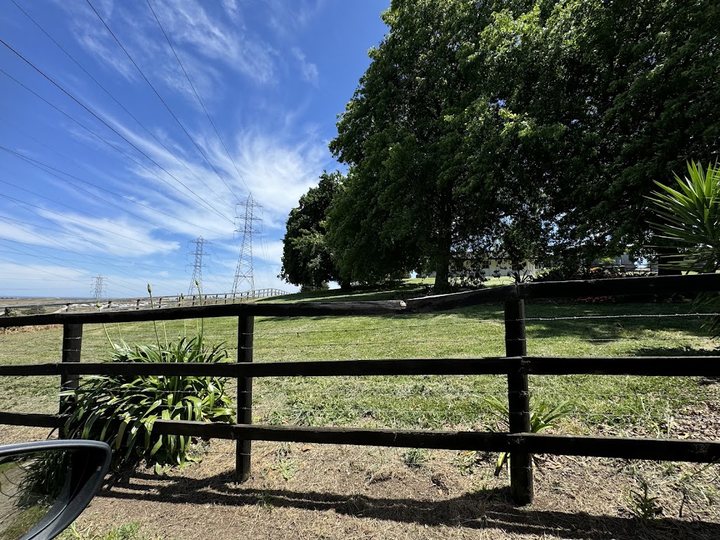 Mt Ararat Simmentals | 126 Mount Ararat N Rd, Nar Nar Goon North VIC 3812, Australia | Phone: 0409 537 445