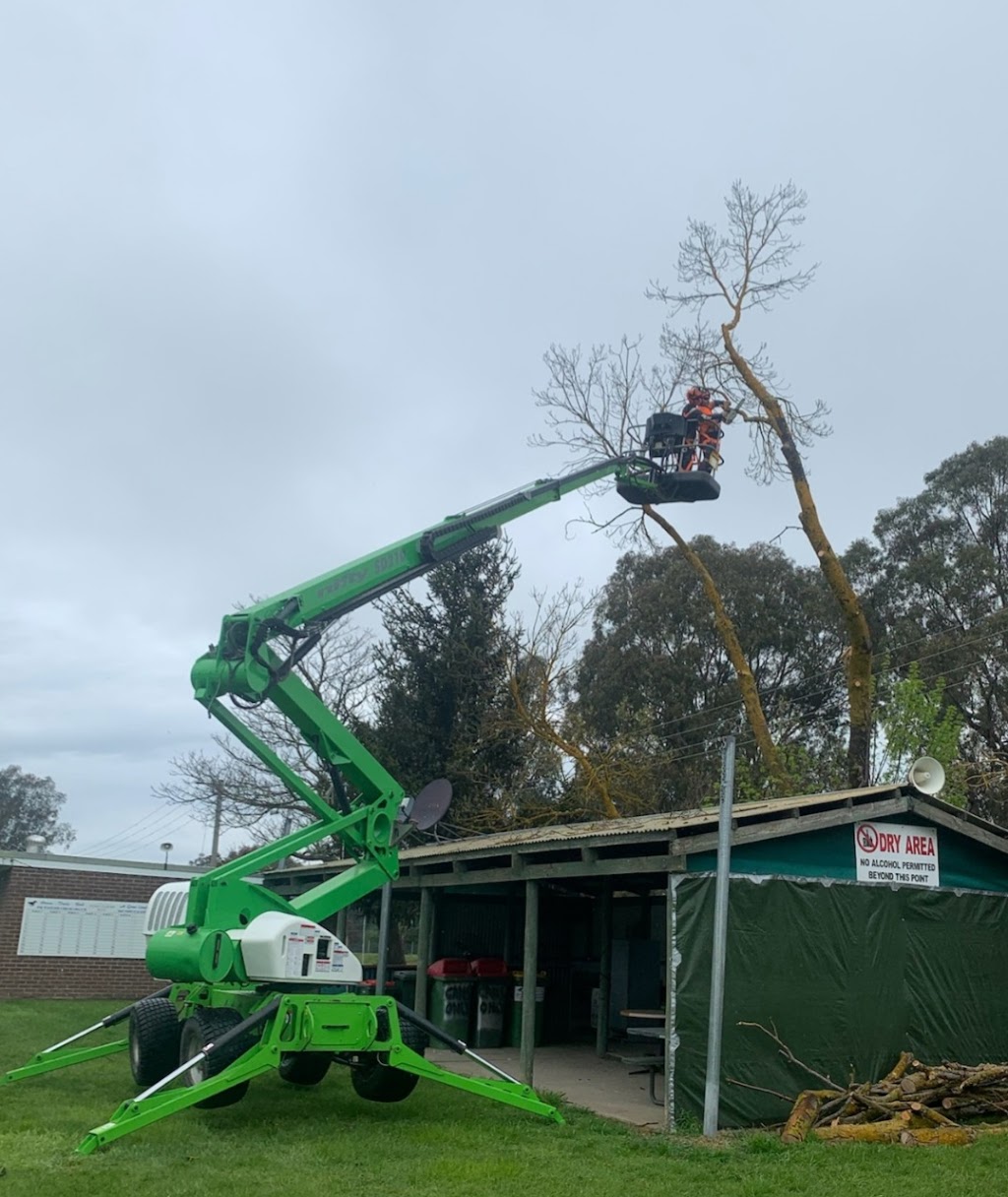 Global Tree Solutions Pty Ltd | 4608 Maroondah Hwy, Whanregarwen VIC 3714, Australia | Phone: 0439 721 943