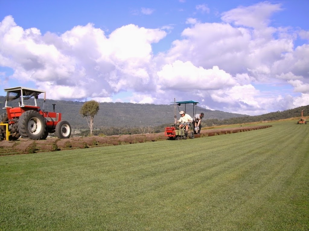 Ace Turf and Trees |  | Reiser Ln, Boyland QLD 4275, Australia | 0417001984 OR +61 417 001 984