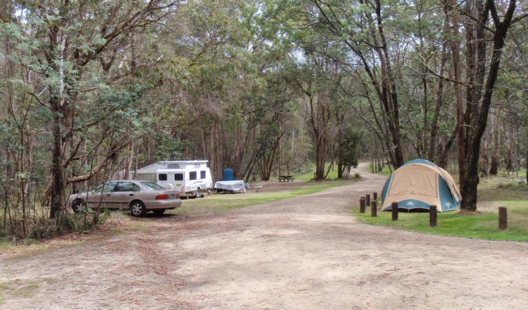 Native Dog campground | campground | Warrigal Track, Ebor NSW 2453, Australia | 0266572309 OR +61 2 6657 2309