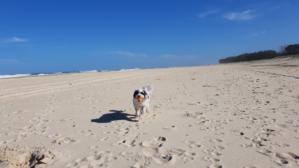 Pottsville Dog Beach | park | Tweed Coast Rd, Pottsville NSW 2489, Australia