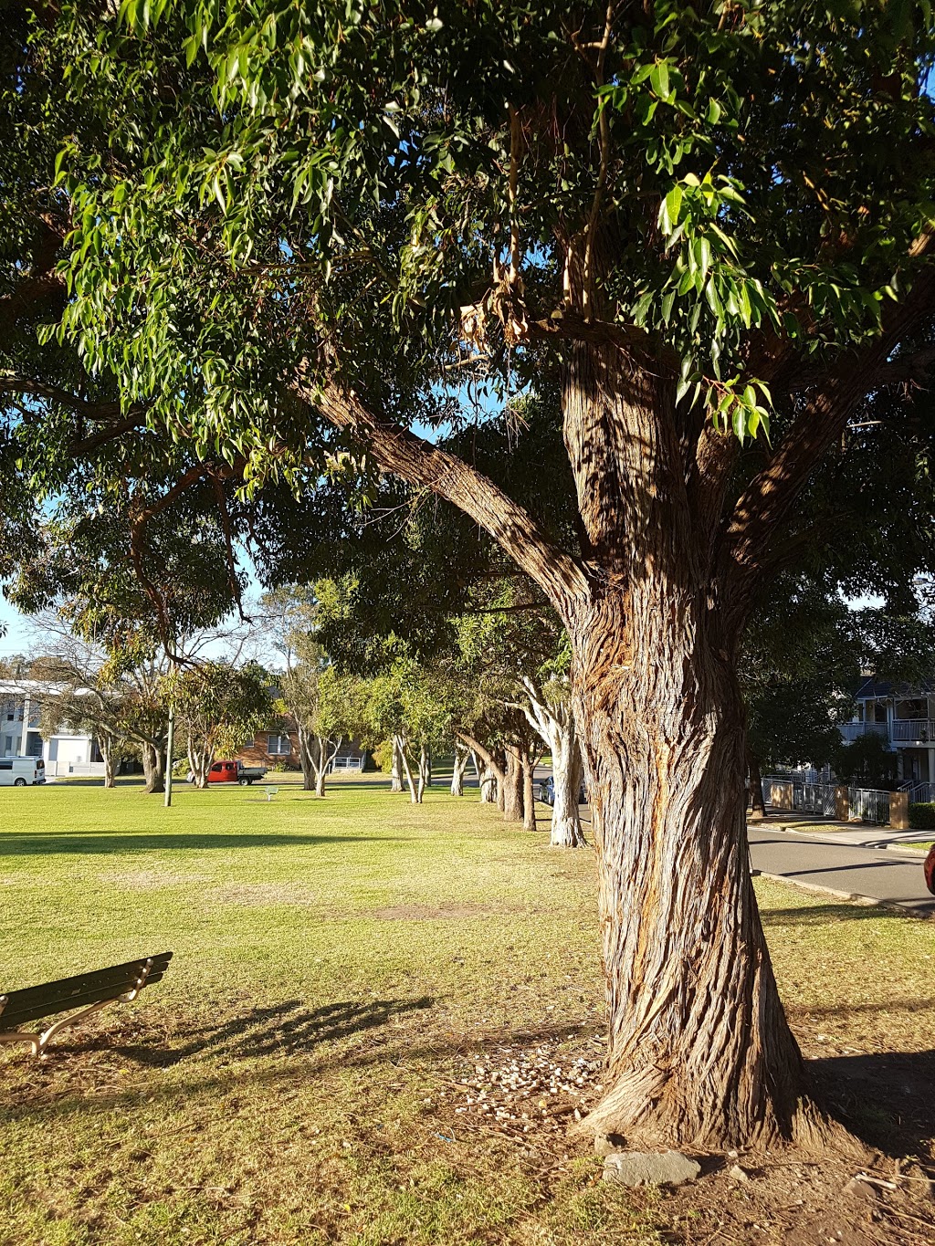 Thorpe Park | park | 31 Low St, Hurstville NSW 2220, Australia