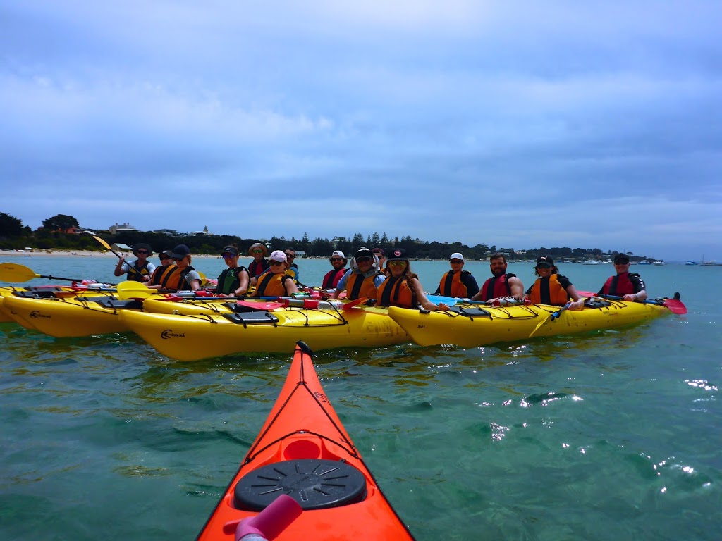 Sea Kayak Australia | travel agency | 12 Turner St, Abbotsford VIC 3067, Australia | 0410329090 OR +61 410 329 090