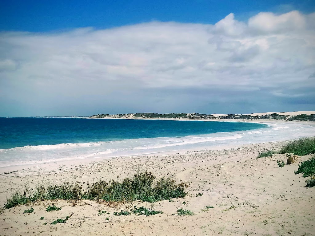 Sandboarding Lancelin | Unnamed Road, Lancelin WA 6044, Australia | Phone: 0481 912 012