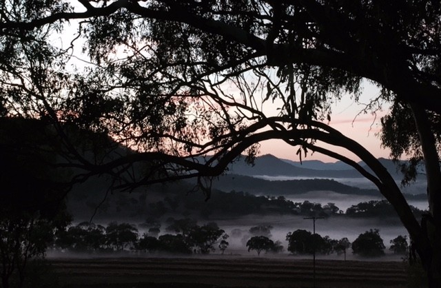 Montrose Farm Stay | lodging | 477 Forest Springs Goomburra Rd, Goomburra QLD 4362, Australia | 0746666115 OR +61 7 4666 6115