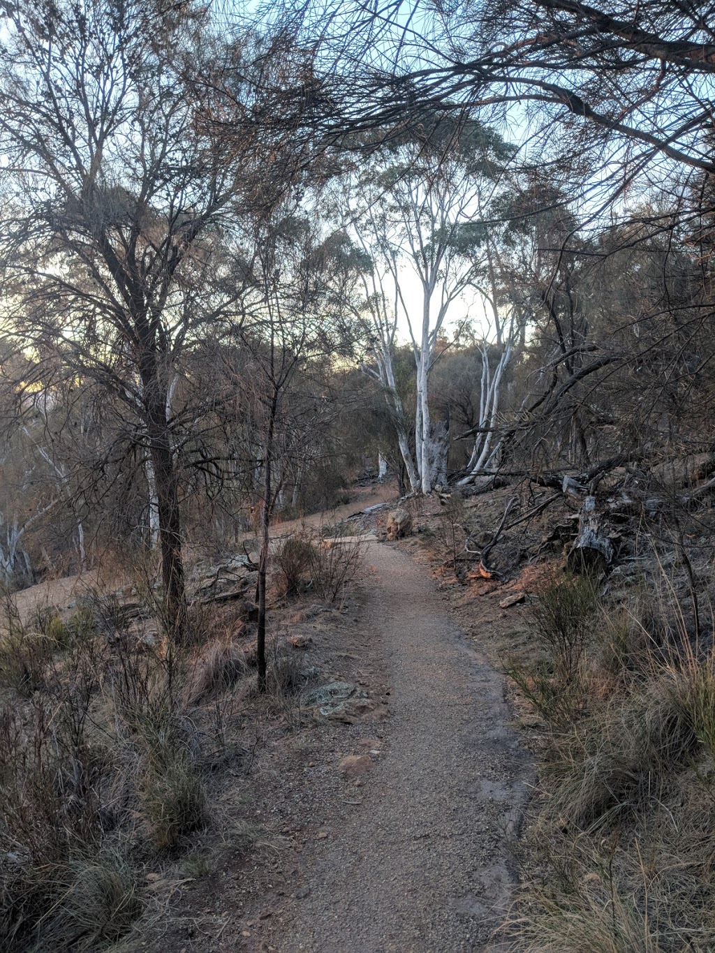 Mawson Majura Track | park | Unnamed Road, ACT 2609, Australia