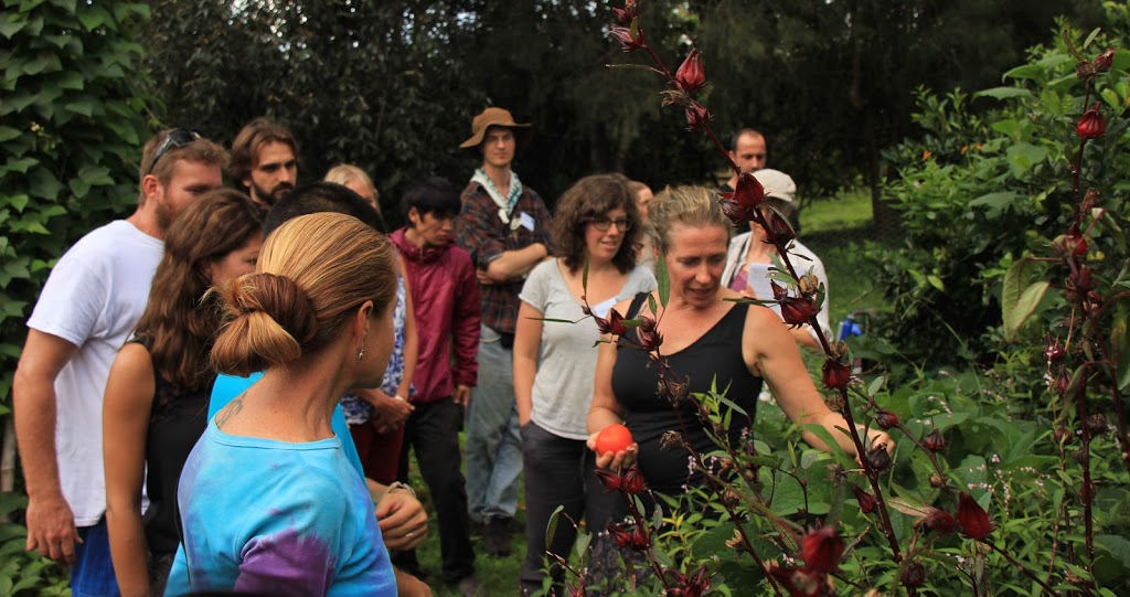 Permaculture Education Institute | Crystal Waters Permaculture Village, Conondale QLD 4552, Australia | Phone: (07) 5494 4833