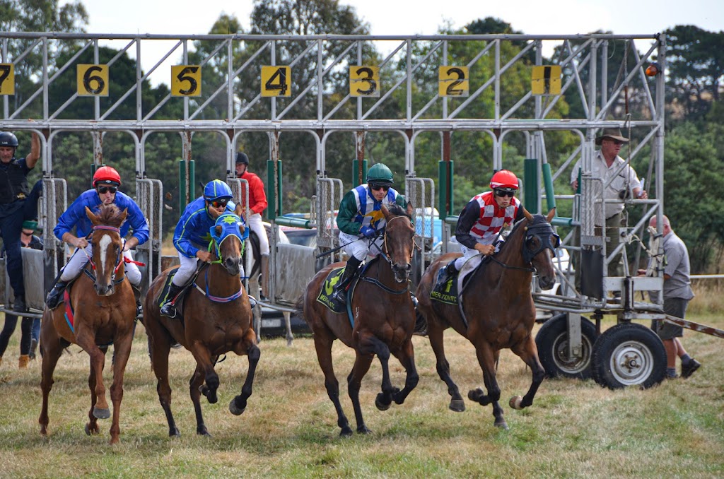 Merton Race Club |  | 3138 Merton-Euroa Rd, Merton VIC 3715, Australia | 0425858035 OR +61 425 858 035