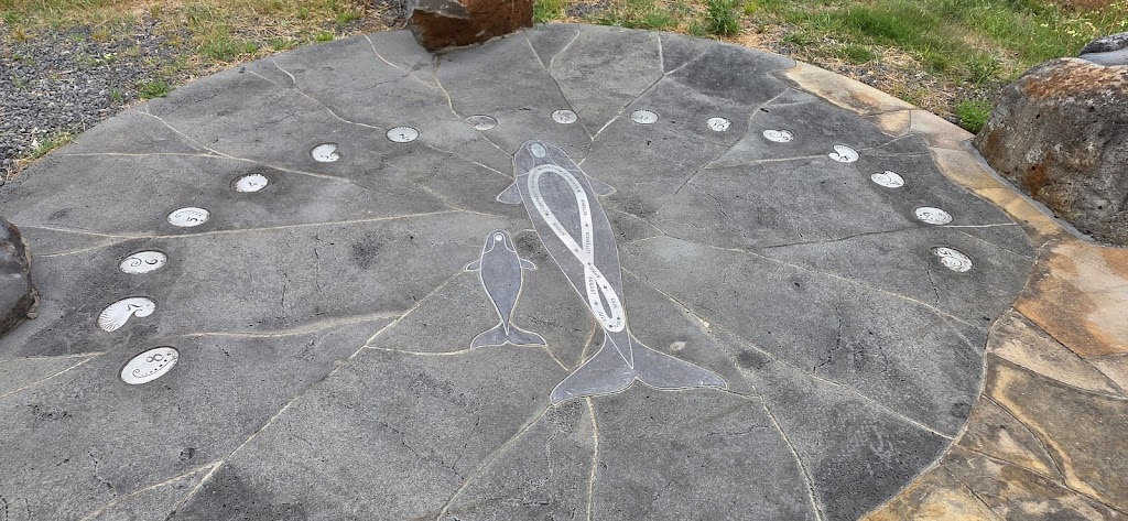 Whale Sun Shadow | Narrawong VIC 3285, Australia | Phone: (08) 8797 8596