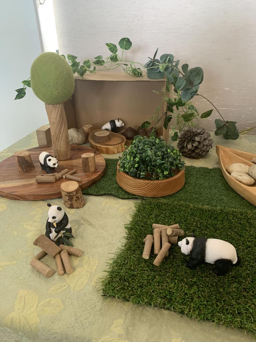 Enriched Explorers Family Day Care | 3123 Tasman Hwy, Orielton TAS 7172, Australia | Phone: 0452 116 082