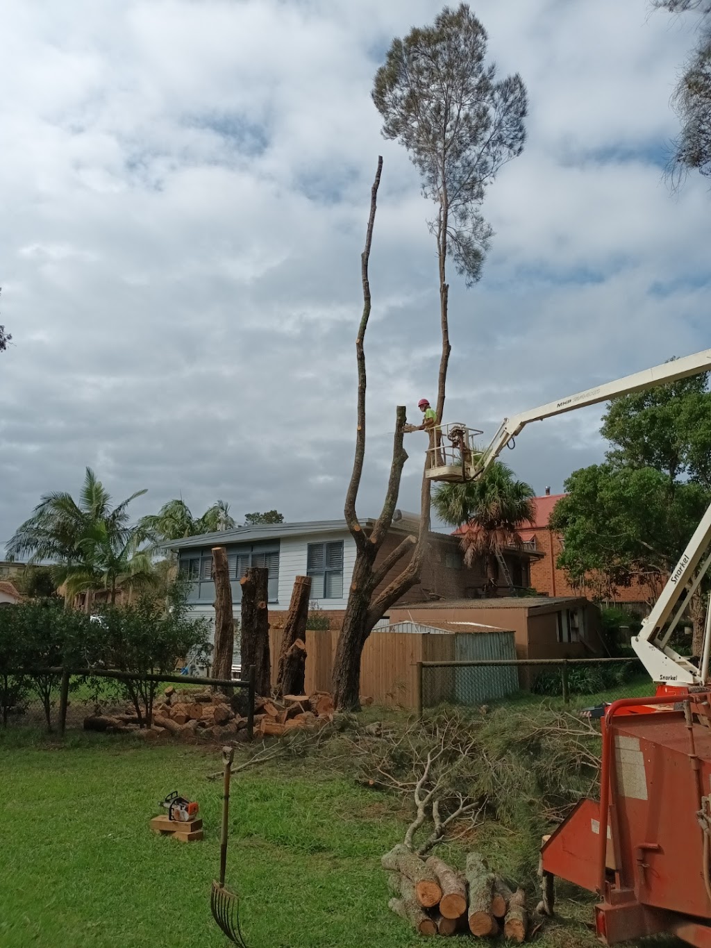 Richard Barnes Tree Services | 766 Wagonga Scenic Dr, Narooma NSW 2546, Australia | Phone: 0477 257 760