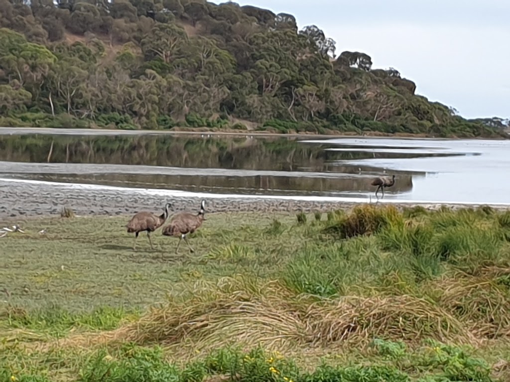 Tower Hill Park Boundary | Entrance Rd, Tower Hill VIC 3283, Australia