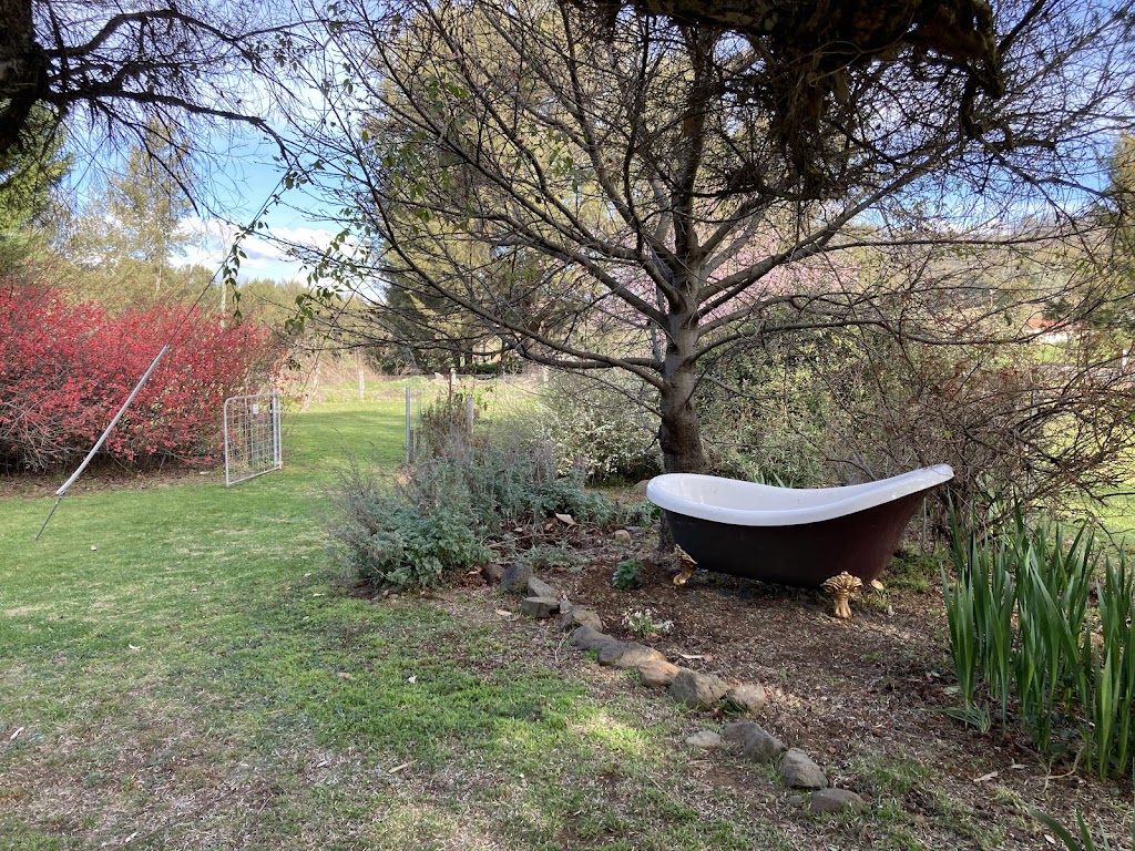 Lavender Cottage Sofala | 141 Upper Turon Rd, Sofala NSW 2795, Australia | Phone: 0418 168 783