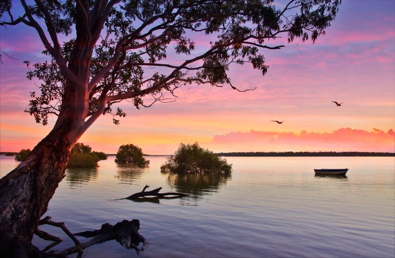 Tin Can Bay Photography & Outdoor Photography Workshops | 28 Creekside Esplanade, Cooloola Cove QLD 4580, Australia | Phone: 0438 831 947