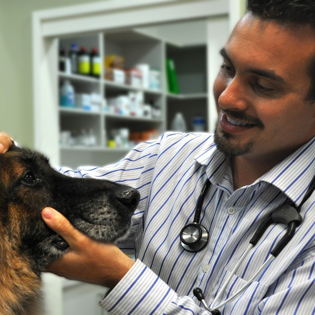 Dr Adam Stefani | veterinary care | 4/1140 Nepean Hwy, Mornington VIC 3931, Australia | 0359753811 OR +61 3 5975 3811