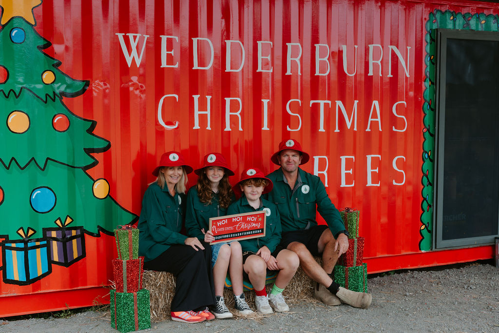 Wedderburn Christmas Trees | 64 Blackburn Rd, Wedderburn NSW 2560, Australia | Phone: 0402 086 032