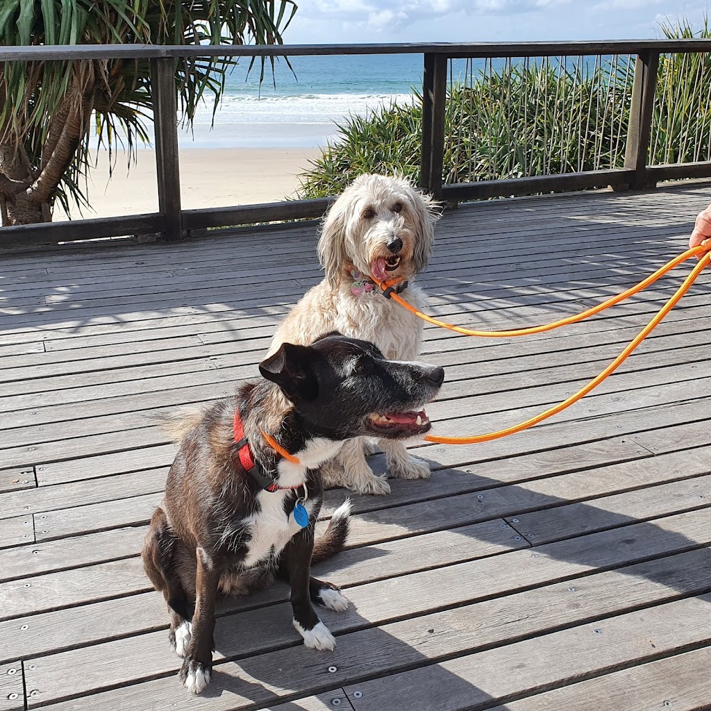 Unleashed Dog Behavioural Training | 21 Minura Ct, Doonan QLD 4562, Australia | Phone: 0437 311 715