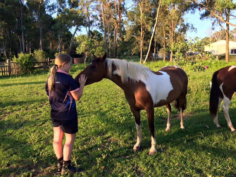 Hooves For Hope | 74 Mcmahons Rd, Kurrajong NSW 2758, Australia | Phone: 0447 772 717 Hooves For Hope | 74 Mcmahons Rd, Kurrajong NSW 2758, Australia | Phone: 0447 772 717