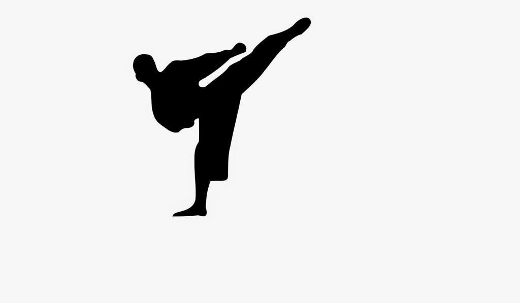 Maroubra Seals Dojo - Shotokan Karate (SKIA) | health | 212 Marine Parade, Maroubra NSW 2035, Australia | 0296616286 OR +61 2 9661 6286