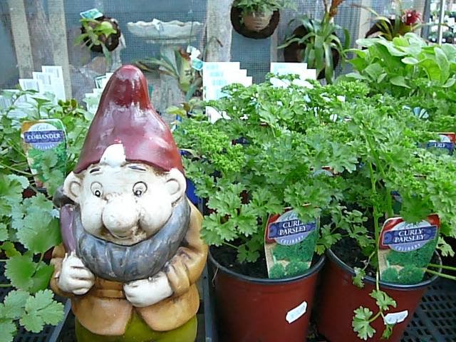 Mt Evelyn Garden Centre | 126 York Rd, Mount Evelyn VIC 3796, Australia | Phone: (03) 9736 1162