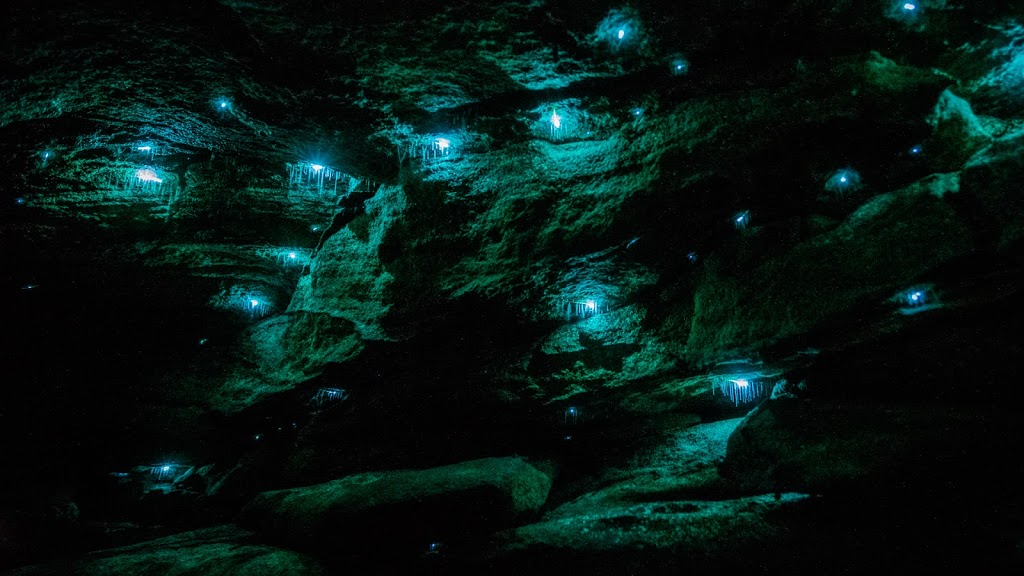 Blue Mountains Glow Worm Tours | travel agency | Berambing NSW 2758, Australia | 0438600691 OR +61 438 600 691