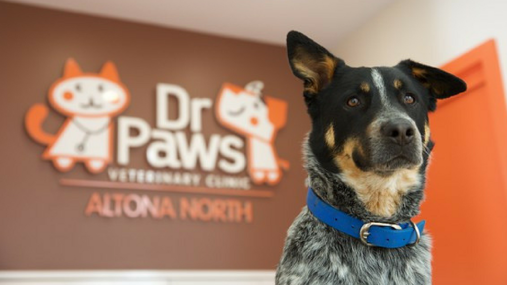 Dr Paws Altona North Veterinary Clinic | veterinary care | 221 Millers Rd, Altona North VIC 3025, Australia | 0393912000 OR +61 3 9391 2000