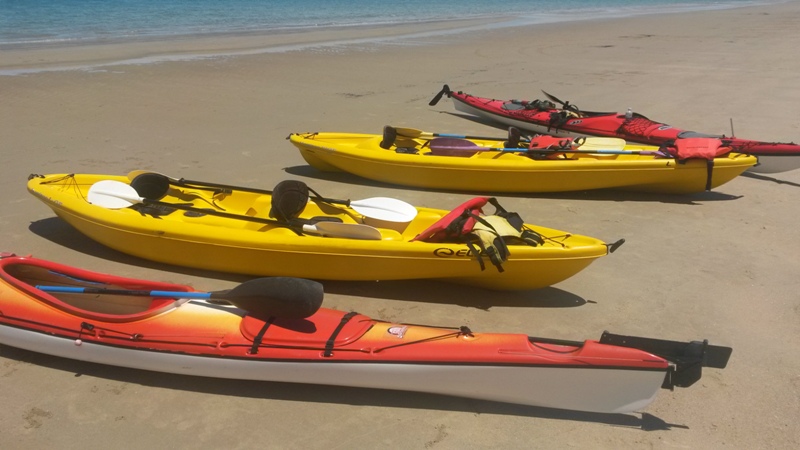 Reef Coast Kayak Co |  | 17 Stewart St, Daintree QLD 4873, Australia | 0423603667 OR +61 423 603 667