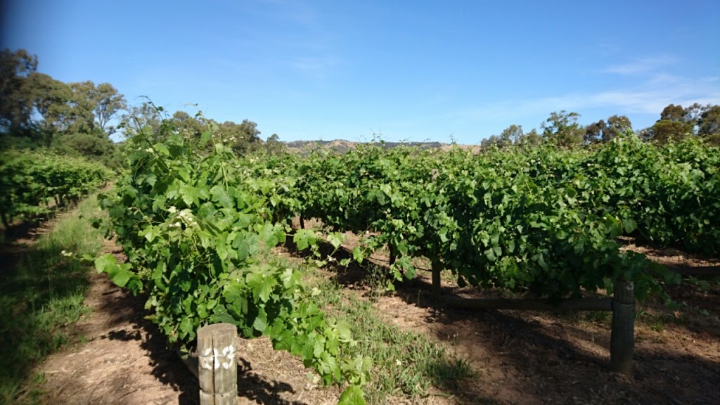 Graham Stevens Wines | LOT 2 Ingoldby Rd, McLaren Flat SA 5171, Australia | Phone: (08) 8383 0997