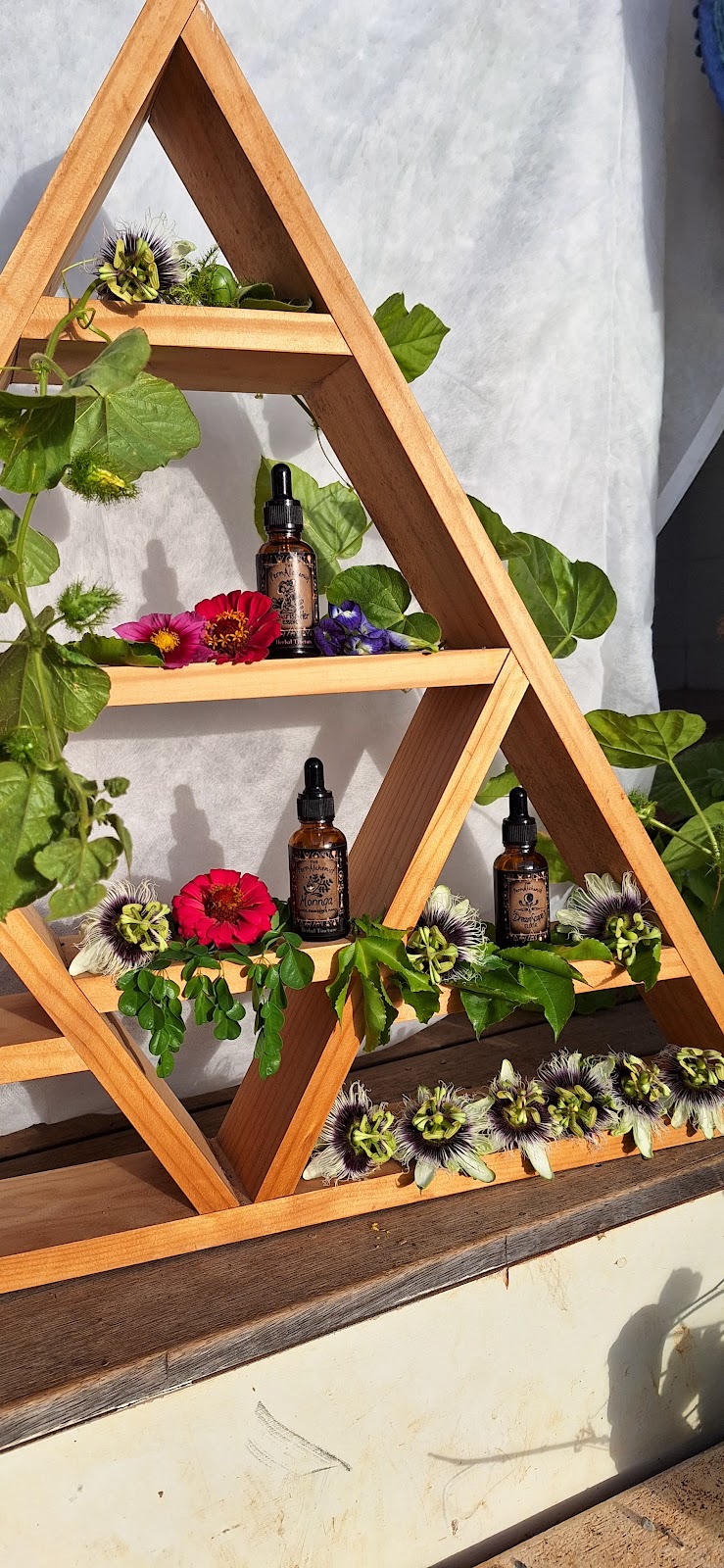 The PermAlchemist | Clayton Rd, Lammermoor QLD 4703, Australia | Phone: 0406 348 132