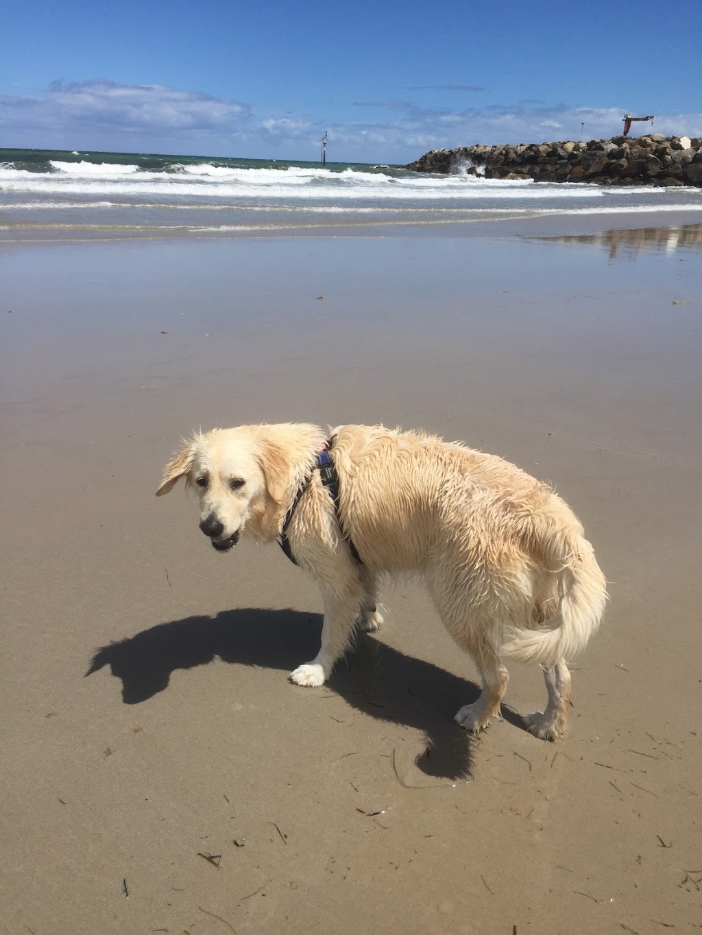 West Beach Boat Ramp | tourist attraction | Barcoo Rd, West Beach SA 5024, Australia | 0883557360 OR +61 8 8355 7360