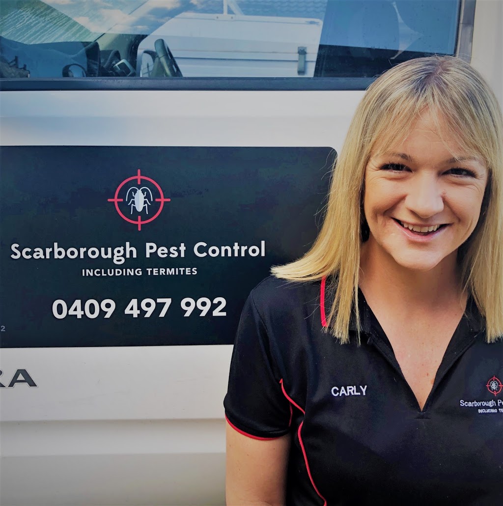 Scarborough Pest Control | 191 Ashmole Rd, Newport QLD 4020, Australia | Phone: (07) 3203 8378