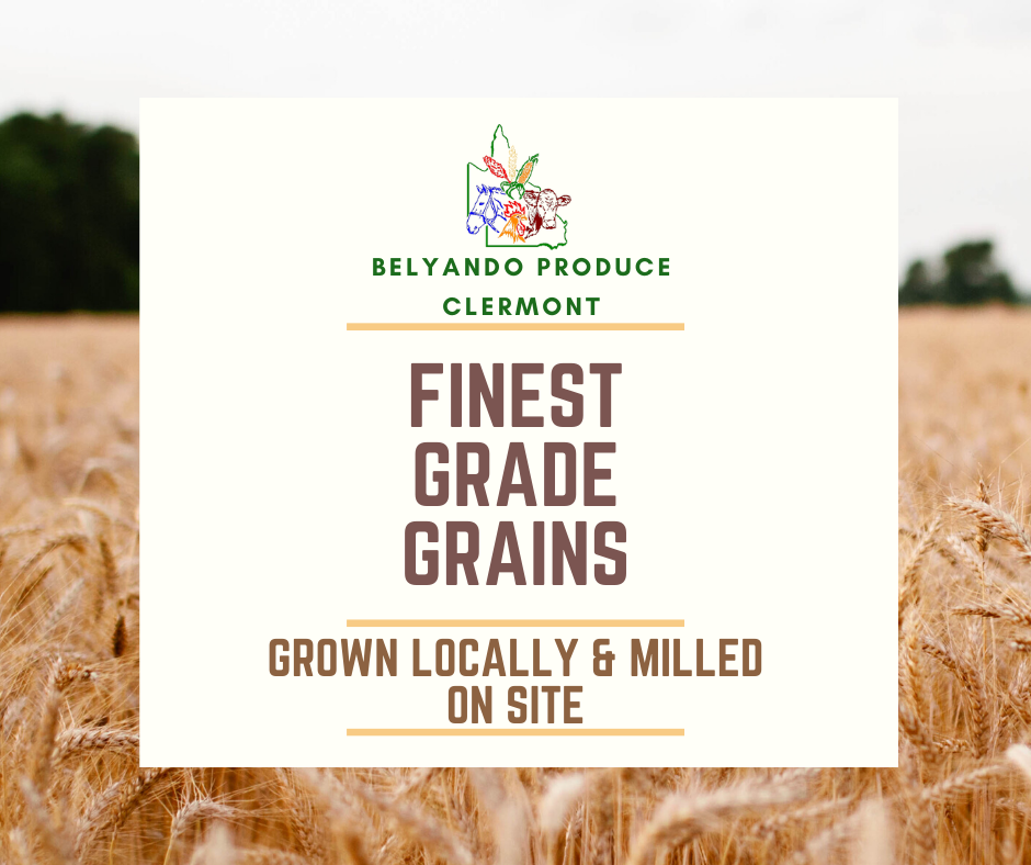 Belyando Produce | food | 15750 Gregory Hwy, Clermont QLD 4721, Australia | 0749833737 OR +61 7 4983 3737