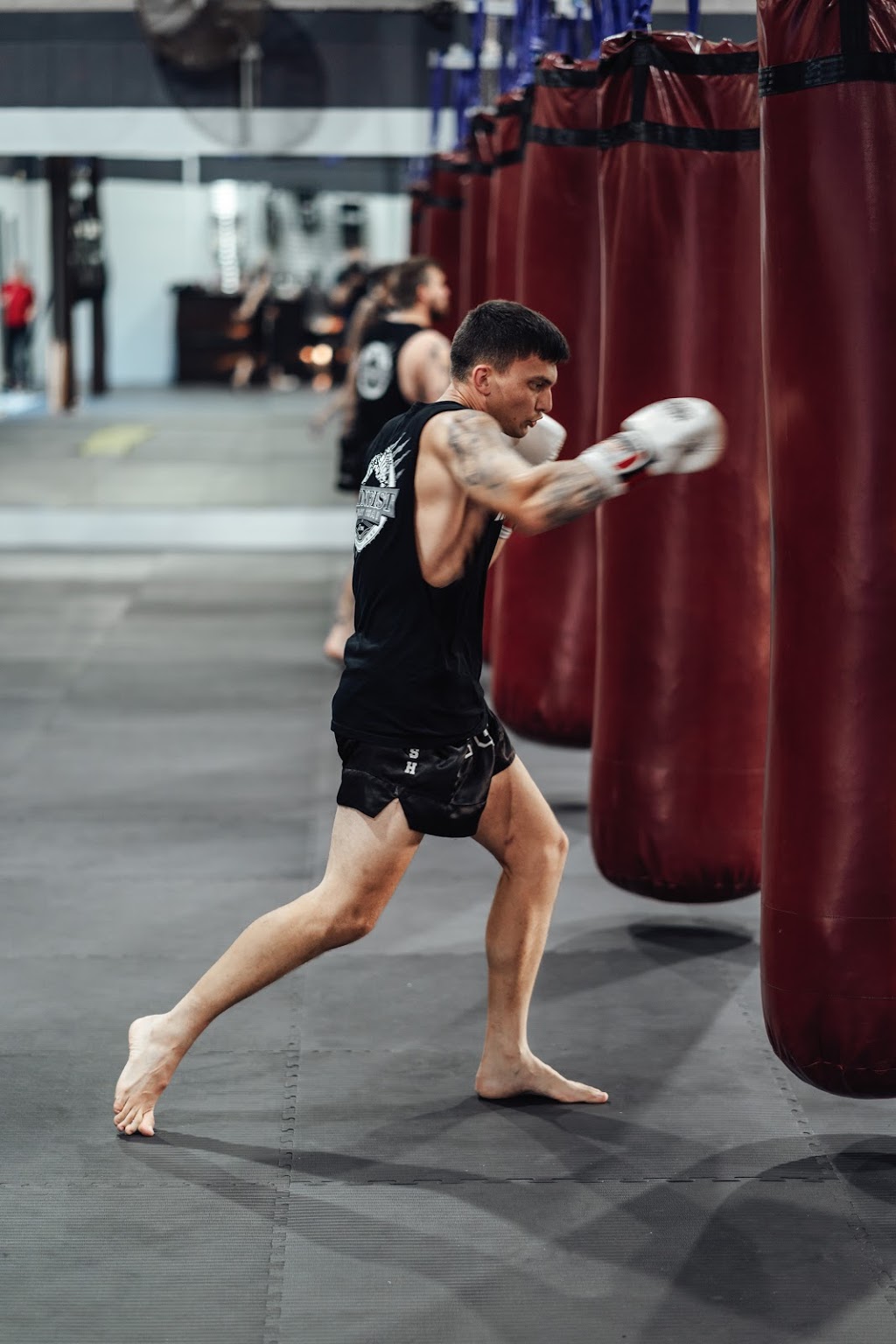 Ironfist Muay Thai - Boxing - BJJ | gym | 2/4 Devlan St, Mansfield QLD 4122, Australia | 0411453342 OR +61 411 453 342