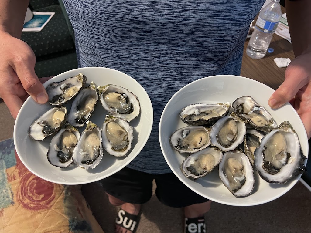 Baldys Fresh And Frozen Seafood Ceduna | 281 Slipway Rd, Thevenard SA 5690, Australia | Phone: 86253640
