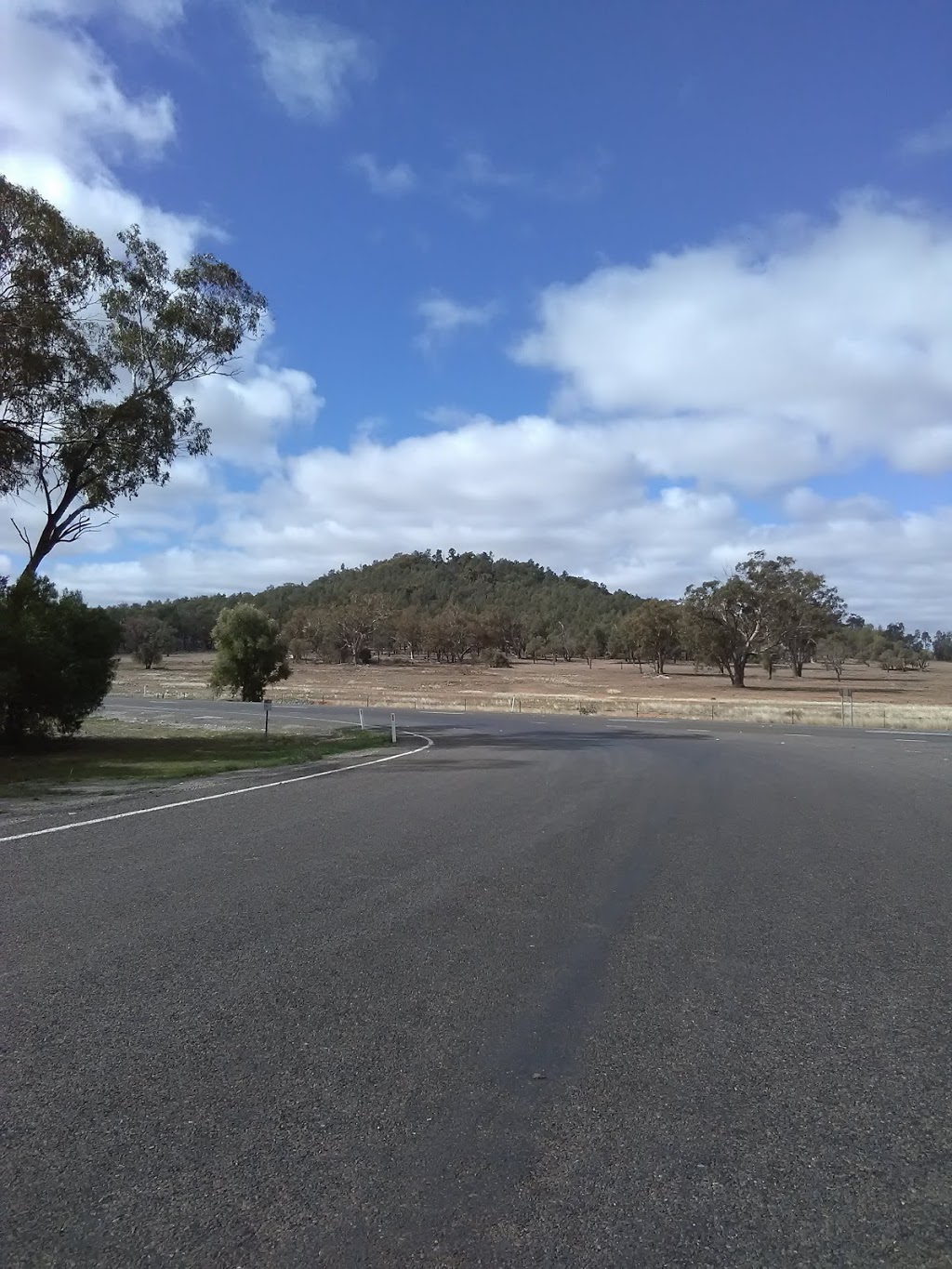 Rest Area | Newell Hwy, Wyalong NSW 2871, Australia | Phone: 13 22 13