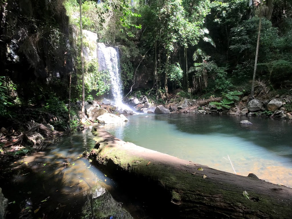 Joalah Section | 36 Tamborine Mountain Rd, Tamborine Mountain QLD 4272, Australia